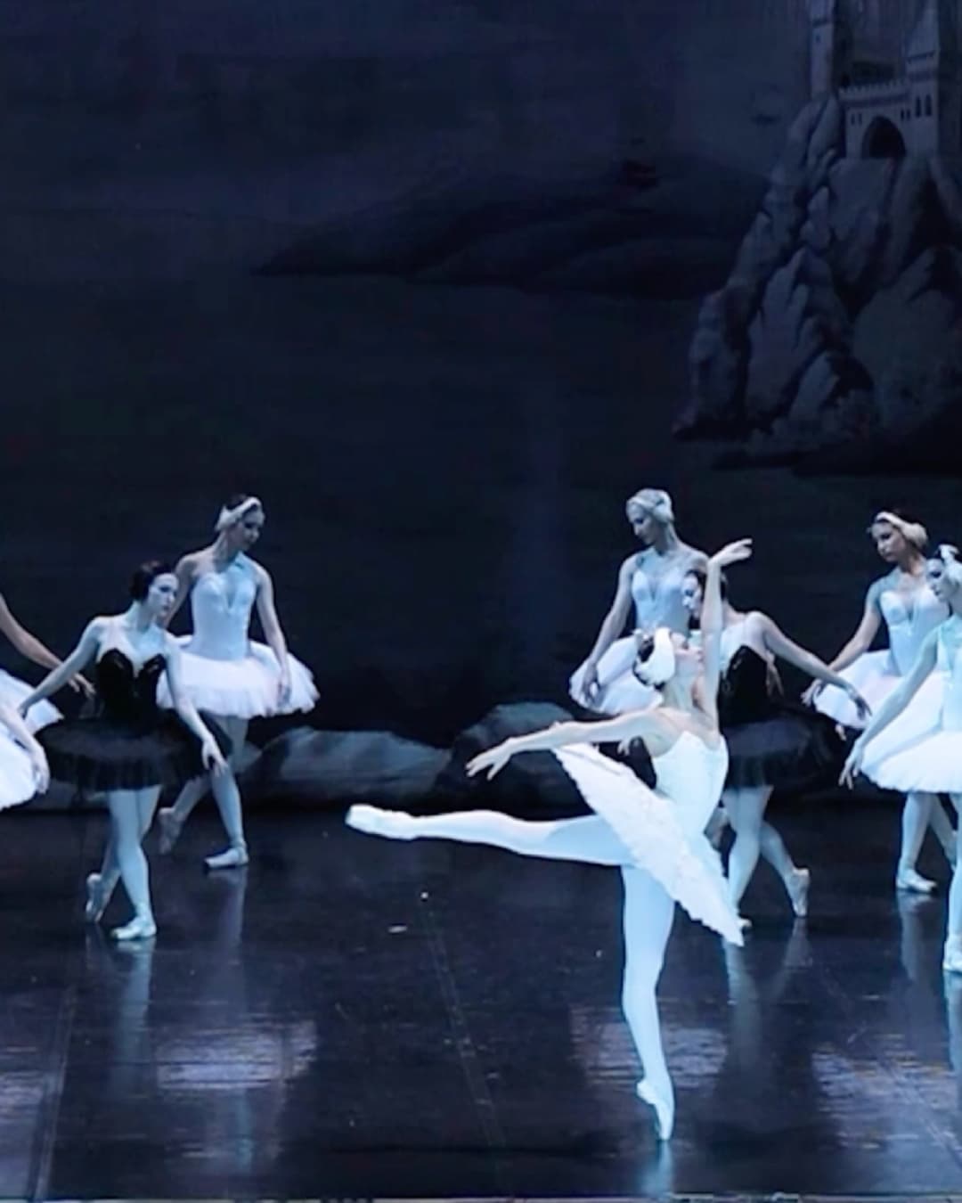 Swan lake Encore Tour 2025